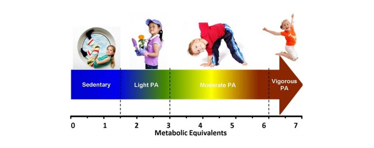 What is Sedentary Behaviour? | The Sedentary Behaviour ...