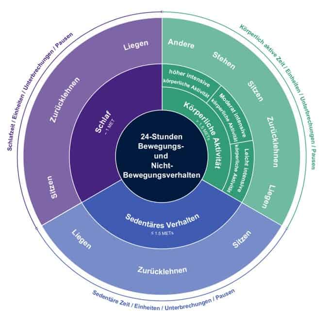 Consensus Definitions German Translation The Sedentary Behaviour Research Network Sbrn