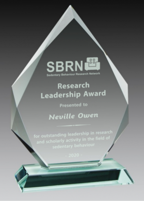 2020 SBRN Research Award - picture